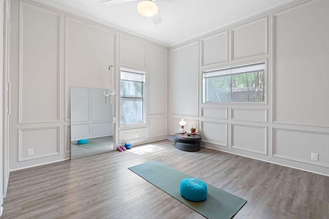 6302 Gato Path, Austin, TX 78731 - exercise area featuring a decorative wall, plenty of natural light, ceiling fan, light wood-style floors, and crown molding