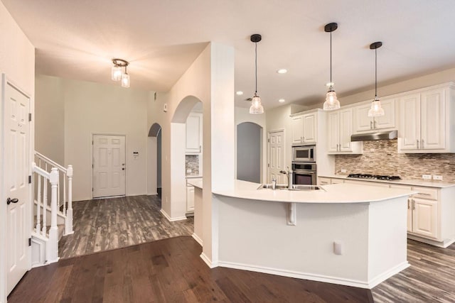 65 White Magnolia Cir, Lakeway, TX 78734 - kitchen with stainless steel appliances, arched walkways, tasteful backsplash, under cabinet range hood, and dark wood-style floors