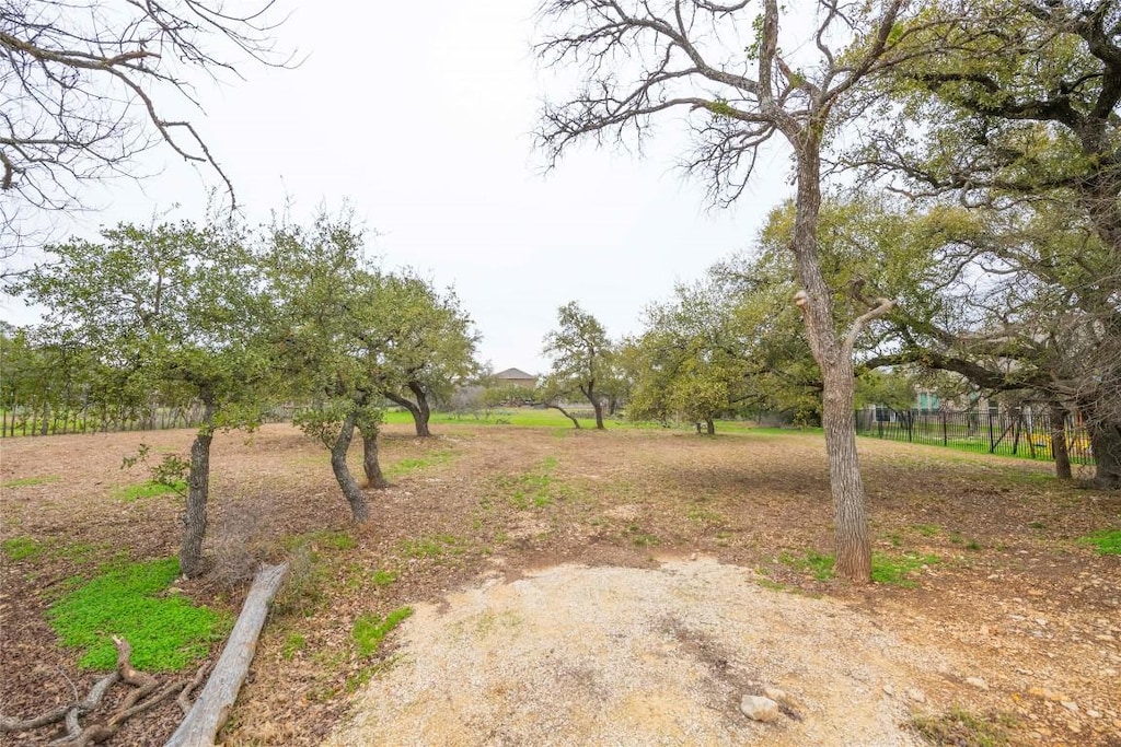 110 Stately Oak Dr, Georgetown, TX 78628 - photo 1