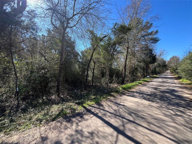 000 Dunbar D Rd, Mcdade, TX 78650 - photo 1