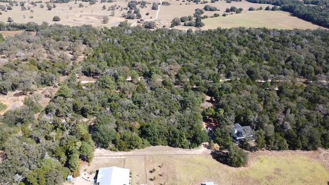 000 Dunbar D Rd, Mcdade, TX 78650 - photo 3