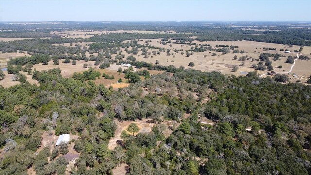 000 Dunbar D Rd, Mcdade, TX 78650 - photo 5