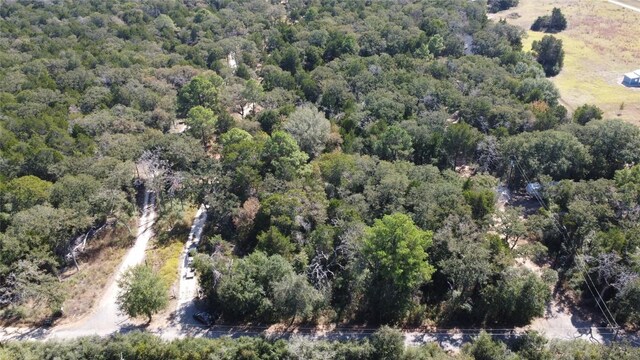 000 Dunbar D Rd, Mcdade, TX 78650 - photo 7