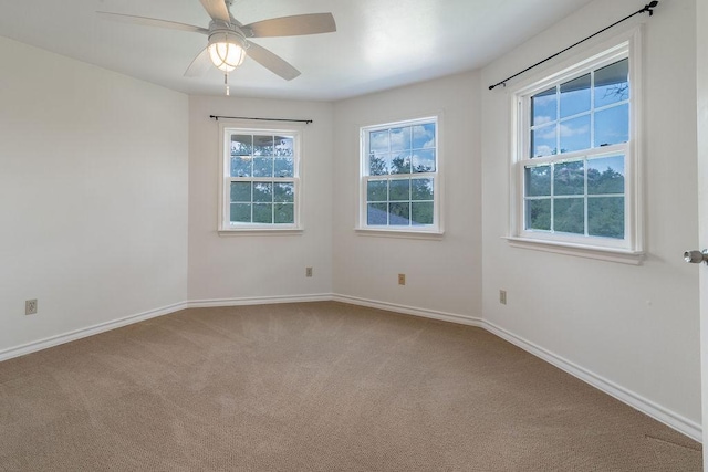 208 Norwood Cv, Georgetown, TX 78628 - photo 27