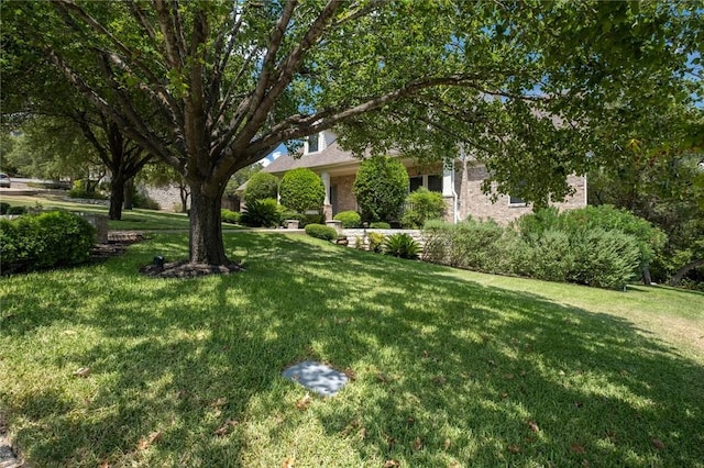 1733 Canonero Dr, Austin, TX 78746 - view of green lawn