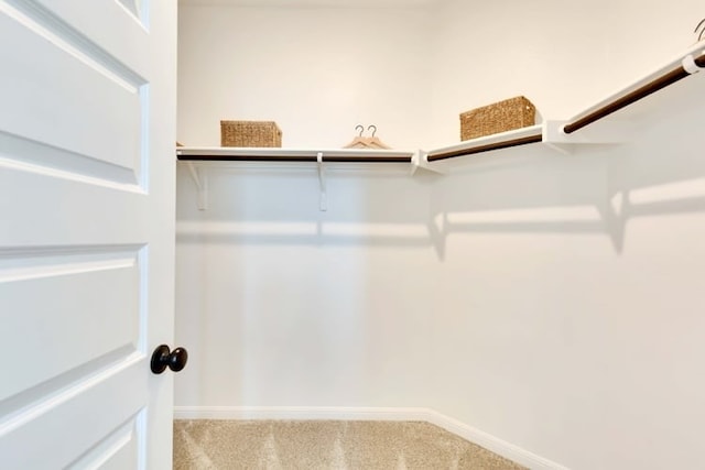 6500 Smarty Jones Ln, Buda, TX 78610 - spacious closet featuring carpet flooring