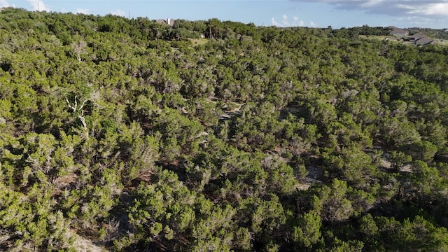 400 Sundown Rdg, Austin, TX 78737 - photo 21