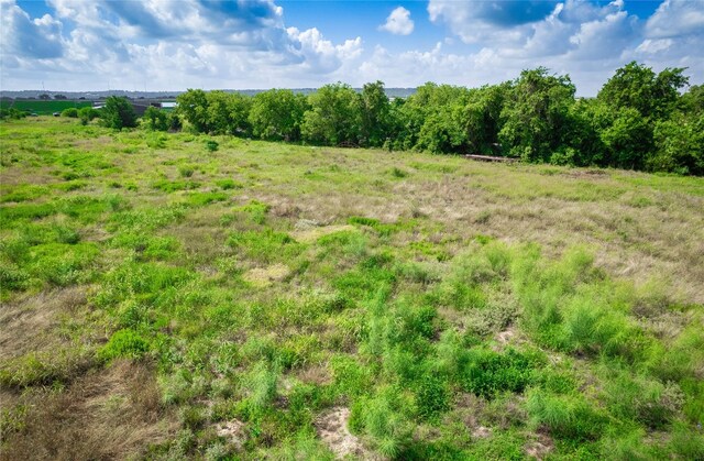 2441 Old Plum Hwy, La Grange, TX 78945 - photo 14