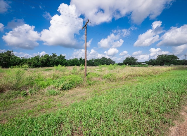 2441 Old Plum Hwy, La Grange, TX 78945 - photo 16