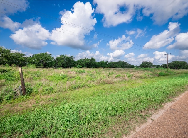 2441 Old Plum Hwy, La Grange, TX 78945 - photo 17