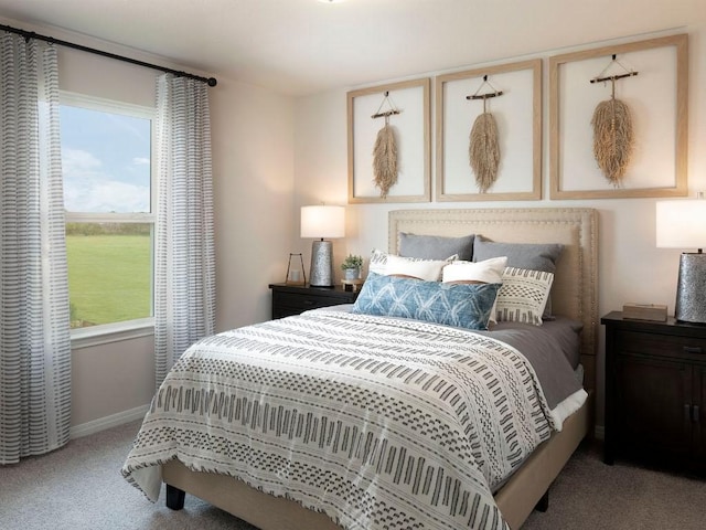208 Morning Tide Dr, Georgetown, TX 78628 - bedroom with carpet flooring and baseboards
