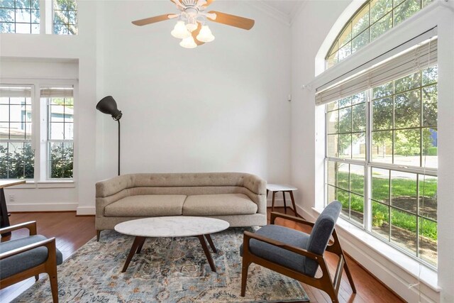 6100 Open Range Trl, Austin, TX 78749 - living area featuring wood finished floors, a towering ceiling, crown molding, and ceiling fan