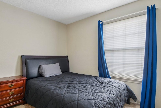 2101 Barnett Dr, Cedar Park, TX 78613 - bedroom featuring carpet flooring