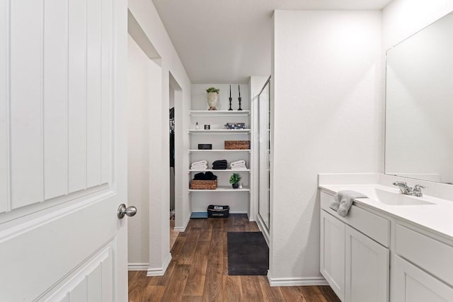 11817 Rush Ln, Elgin, TX 78621 - bathroom featuring vanity, wood finished floors, and a spacious closet