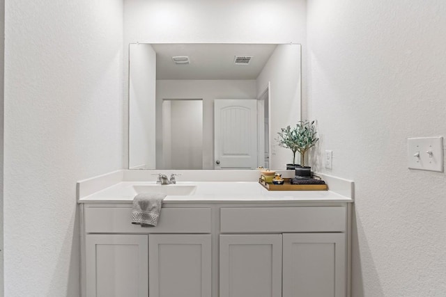 11817 Rush Ln, Elgin, TX 78621 - bathroom featuring vanity and a textured wall