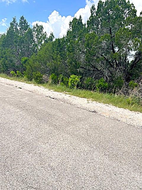 3226 Eisenhower Ave, Lago Vista, TX 78645 - photo 3