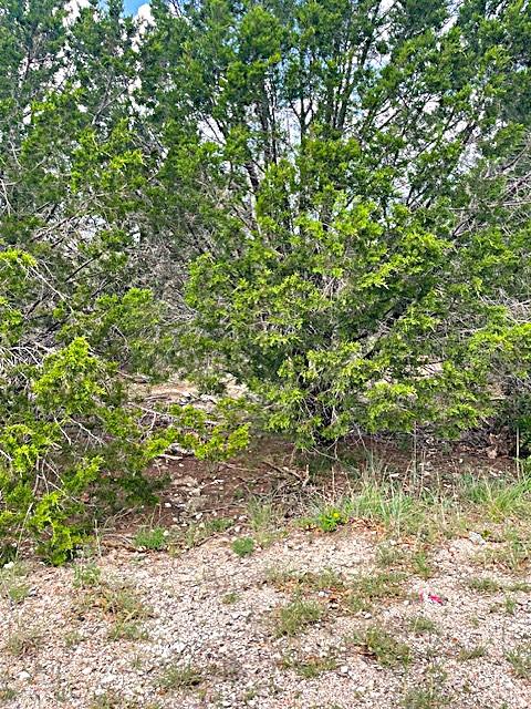 3226 Eisenhower Ave, Lago Vista, TX 78645 - photo 1