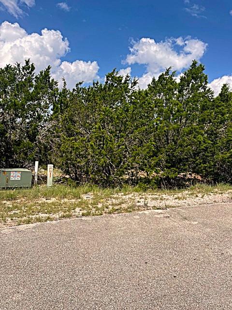 3226 Eisenhower Ave, Lago Vista, TX 78645 - photo 2