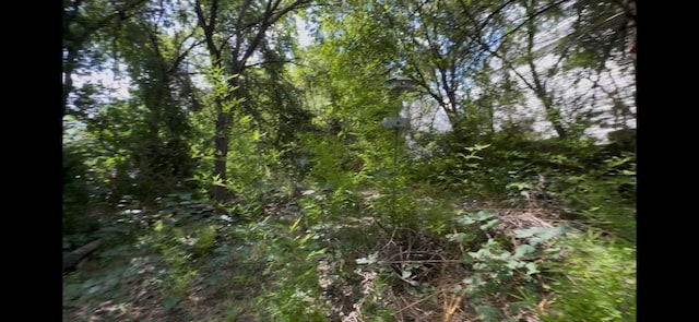 2012 Goodrich Ave, Austin, TX 78704 - photo 8