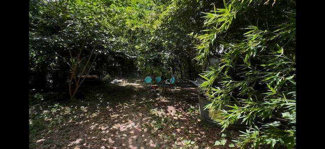 2012 Goodrich Ave, Austin, TX 78704 - photo 5