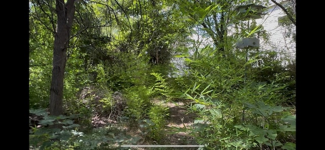 2012 Goodrich Ave, Austin, TX 78704 - photo 7
