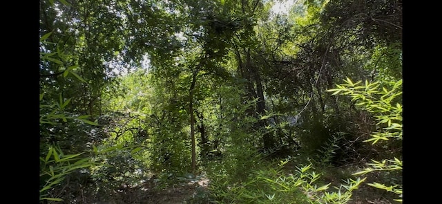 2012 Goodrich Ave, Austin, TX 78704 - photo 9