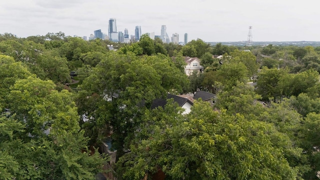 1702 Hartford Rd, Austin, TX 78703 - photo 40