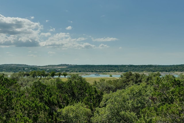 704 Deckhouse Dr, Lago Vista, TX 78645 - water view with a forest