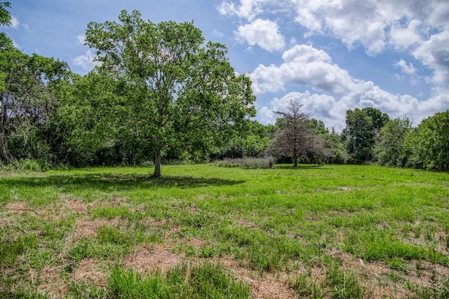 14749 S Dowling Rd, College Station, TX 77845 - photo 26