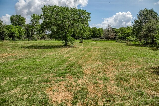 14749 S Dowling Rd, College Station, TX 77845 - photo 27