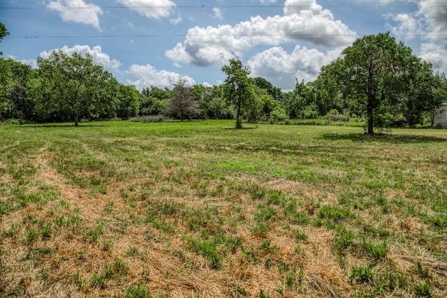 14749 S Dowling Rd, College Station, TX 77845 - photo 28