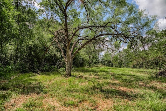 14749 S Dowling Rd, College Station, TX 77845 - photo 29