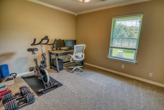 14749 S Dowling Rd, College Station, TX 77845 - photo 19