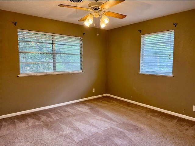 11601 Oak Trl, Austin, TX 78753 - spare room with plenty of natural light, carpet floors, and ceiling fan