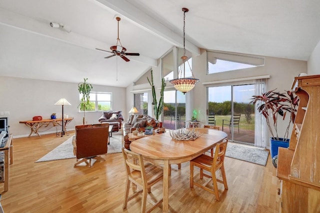1231 Montell Rd, Wimberley, TX 78676 - photo 7