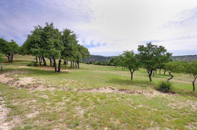 1231 Montell Rd, Wimberley, TX 78676 - photo 26