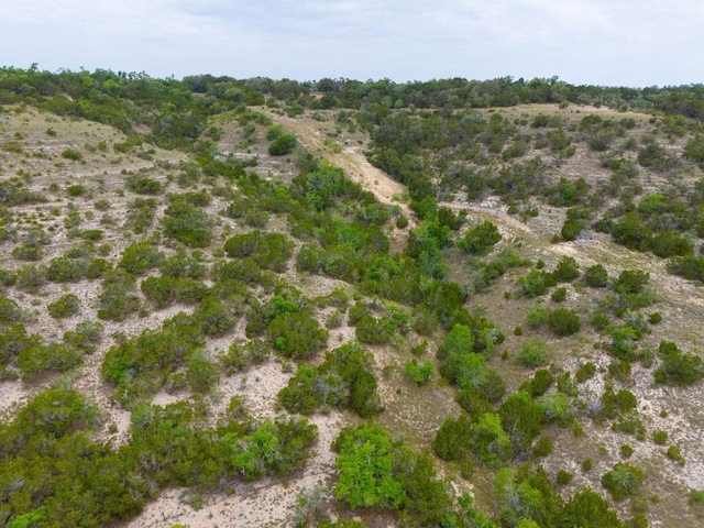 1231 Montell Rd, Wimberley, TX 78676 - photo 30