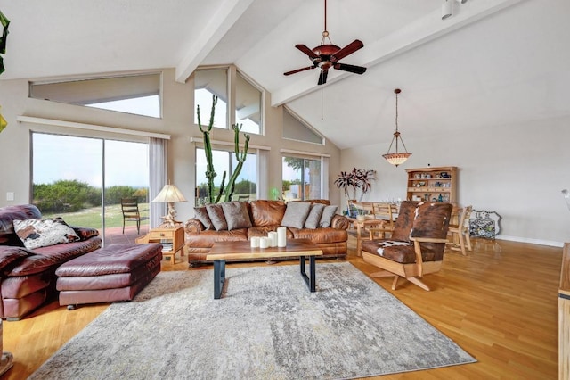 1231 Montell Rd, Wimberley, TX 78676 - photo 6