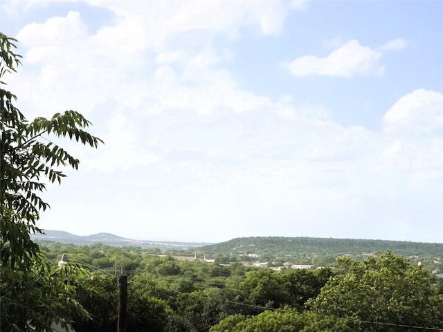 1202 Bowen Ave, Copperas Cove, TX 76522 - mountain view