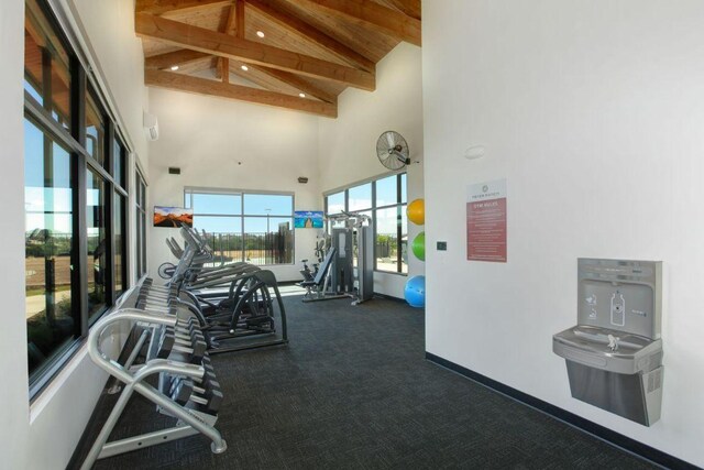 1624 Stone House Dr, New Braunfels, TX 78132 - workout area featuring high vaulted ceiling, beamed ceiling, and dark carpet