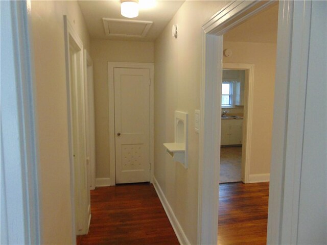 3510 Lafayette Ave, Austin, TX 78722 - photo 5