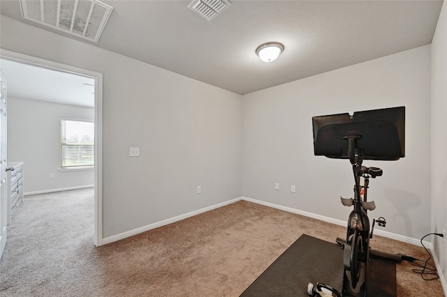 1409 Bedlington Ln, Austin, TX 78748 - photo 15