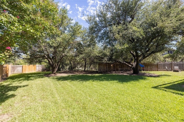 4204 Pasada Ln, Round Rock, TX 78681 - view of fenced backyard