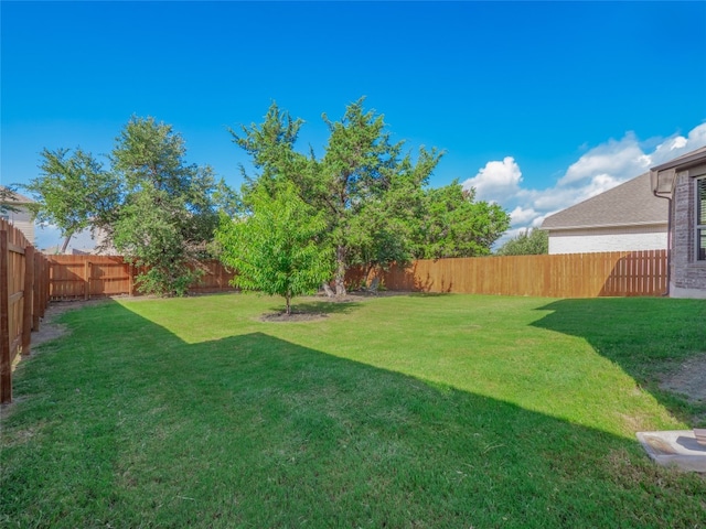 22617 Fountaingrass Ln, Lago Vista, TX 78645 - photo 32
