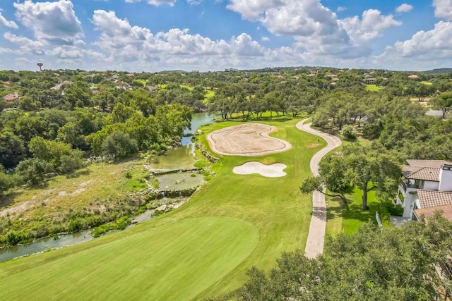 1 Crystal Springs Ct Unit H, The Hills, TX 78738 - photo 36