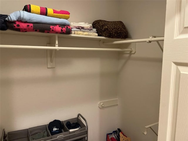 2612 San Pedro St Unit 224, Austin, TX 78705 - view of spacious closet