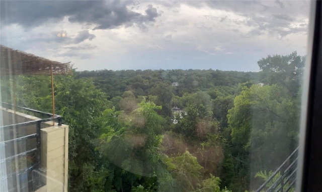 2612 San Pedro St Unit 224, Austin, TX 78705 - view of mountain background with a heavily wooded area