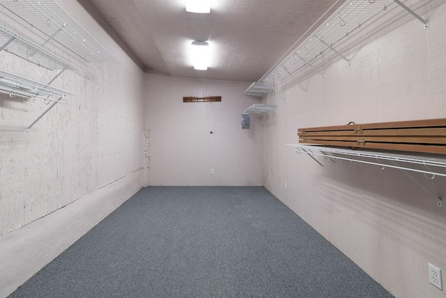 3801 Oak Creek Dr, Austin, TX 78727 - walk in closet featuring carpet flooring