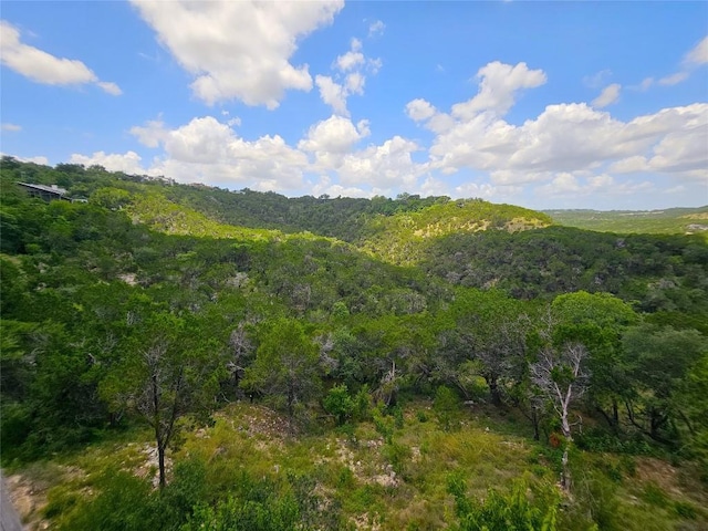 918 Terrace Mountain Dr, West Lake Hills, TX 78746 - photo 1