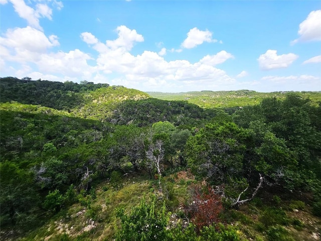 918 Terrace Mountain Dr, West Lake Hills, TX 78746 - photo 2
